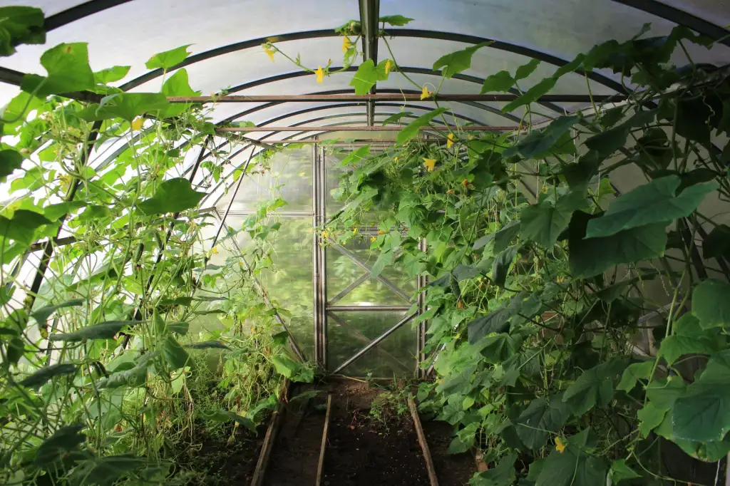 2024年集成电路产业政策调整对电子元器件贸易的影响分析