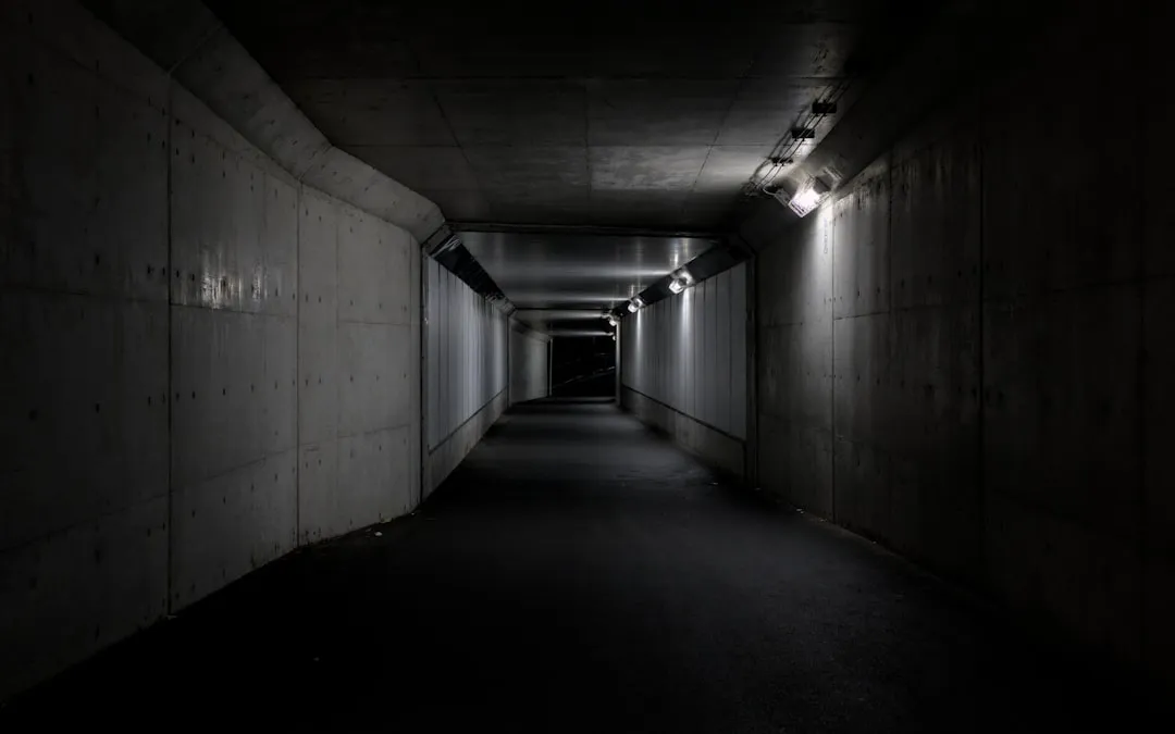 集成电路型号选型对比：麦子科技助力精准匹配生产需求